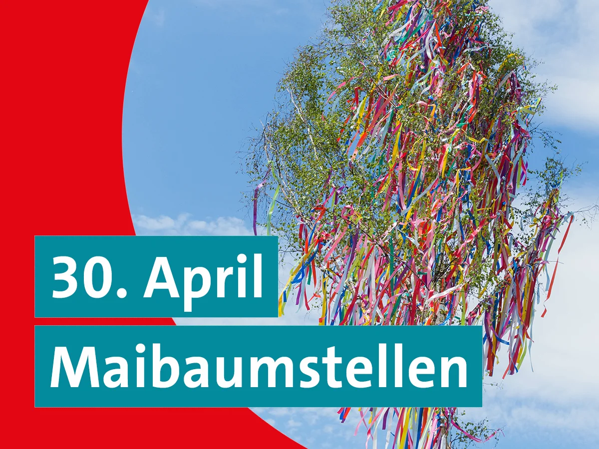 Maibaumstellen der SPD Rohrbach (Saar) am 30. April 2026 vor der Rohrbachhalle